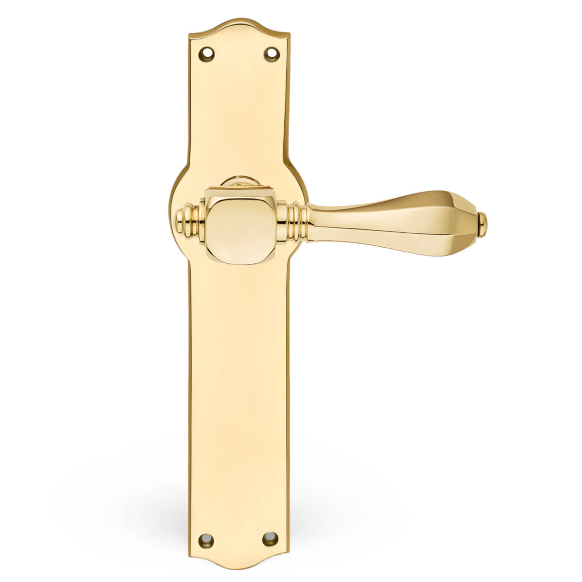 Türgriff-Messing-MEDICI-Rückenschild-HAUSER-blind-world-of-handles