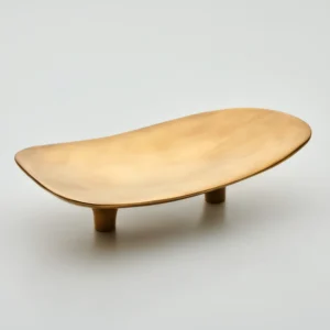 Darwin Oyster Bio-Türgriff